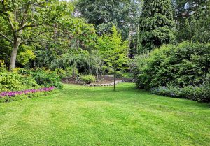 Optimiser l'expérience du jardin à Saint-Sorlin-en-Valloire